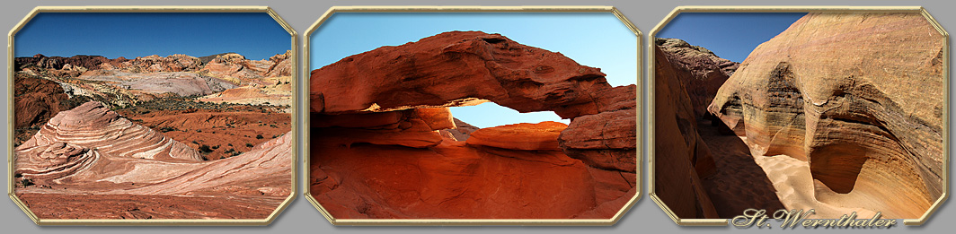 Saguaro Nationalpark